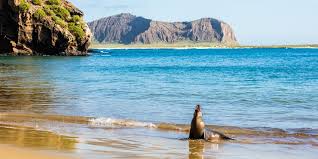 Discover Peaceful Island Living: Insights and Tips