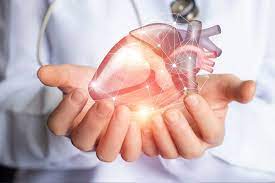 What to Expect During a Cardiologist Consultation for Heart Disease